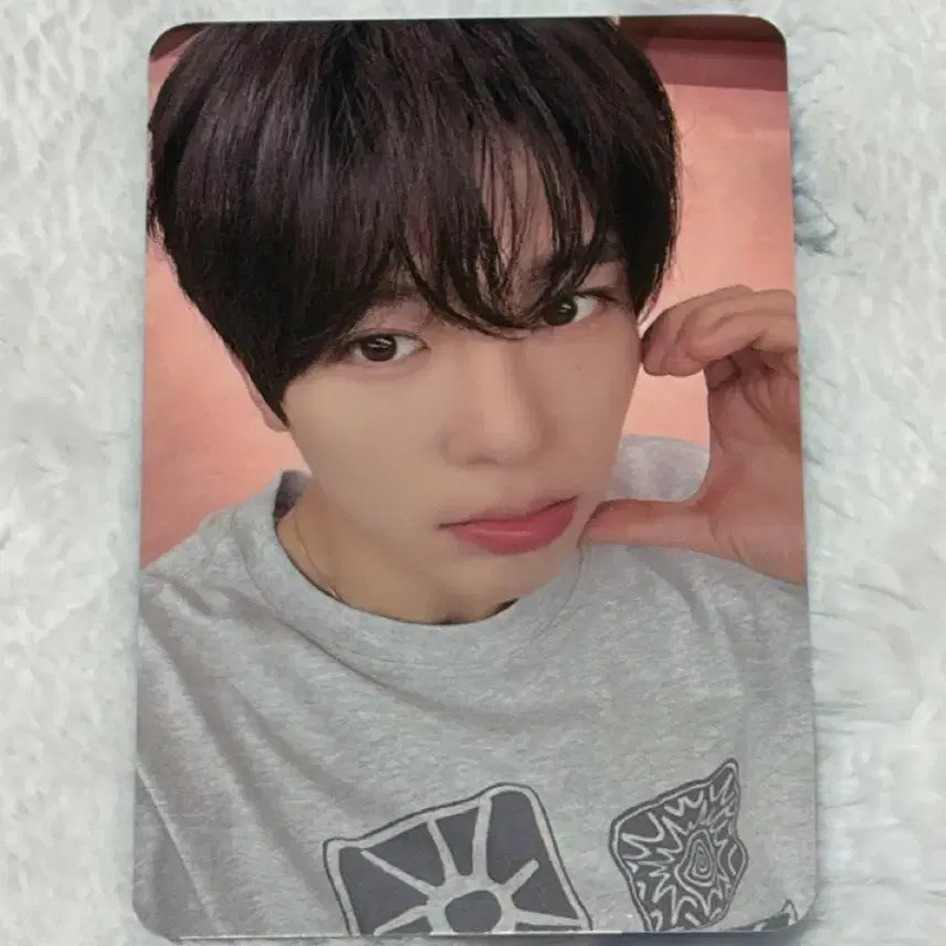 엔시티위시 nct wish 컬러 color 디마뮤 미공포 시온 포카