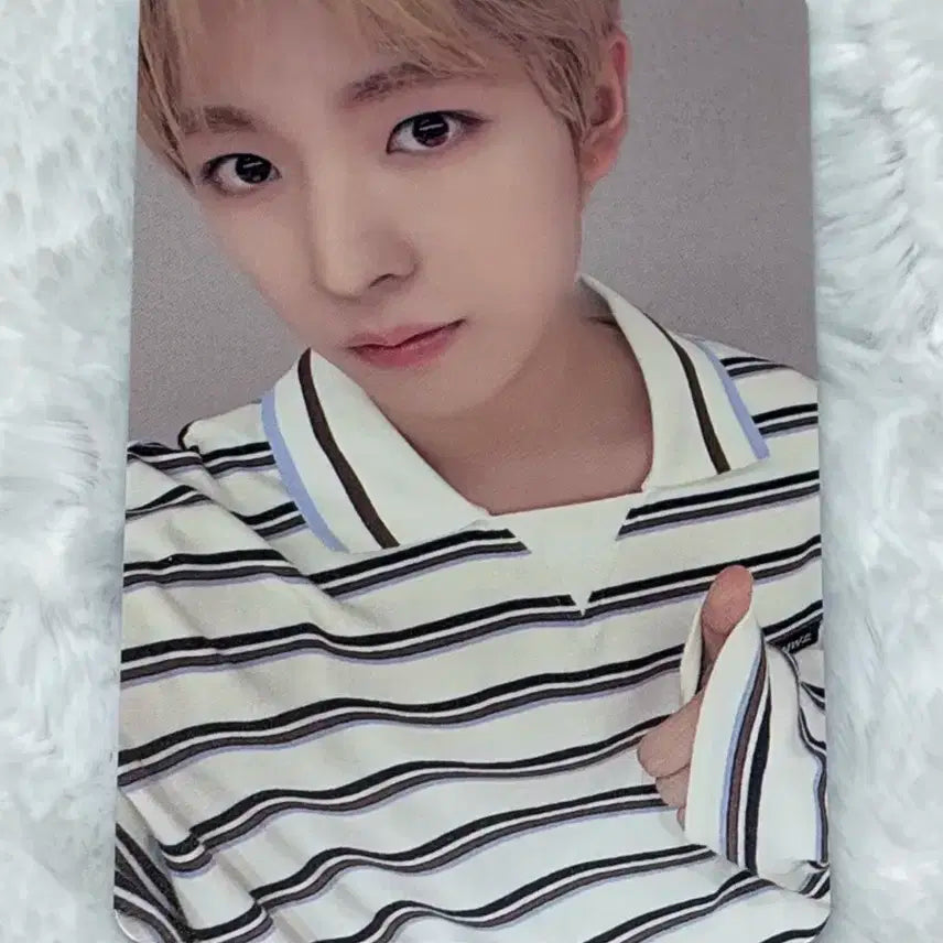 엔시티위시 nct wish 컬러 color 디마뮤 미공포 유우시 포카