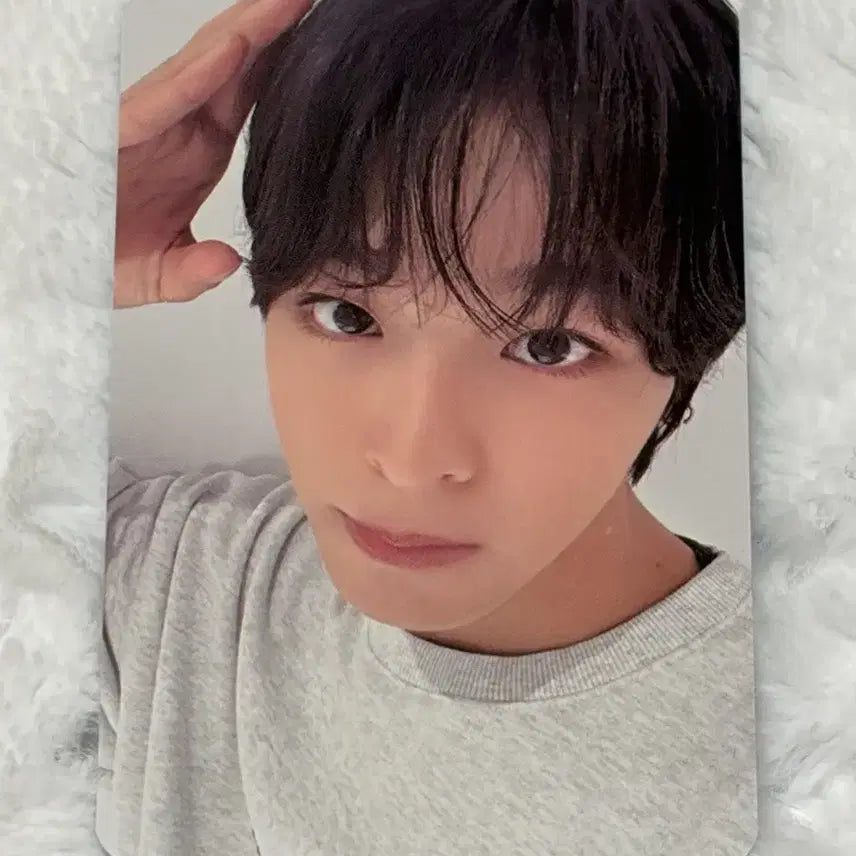 엔시티위시 nct wish 컬러 color 디마뮤 미공포 리쿠 포카