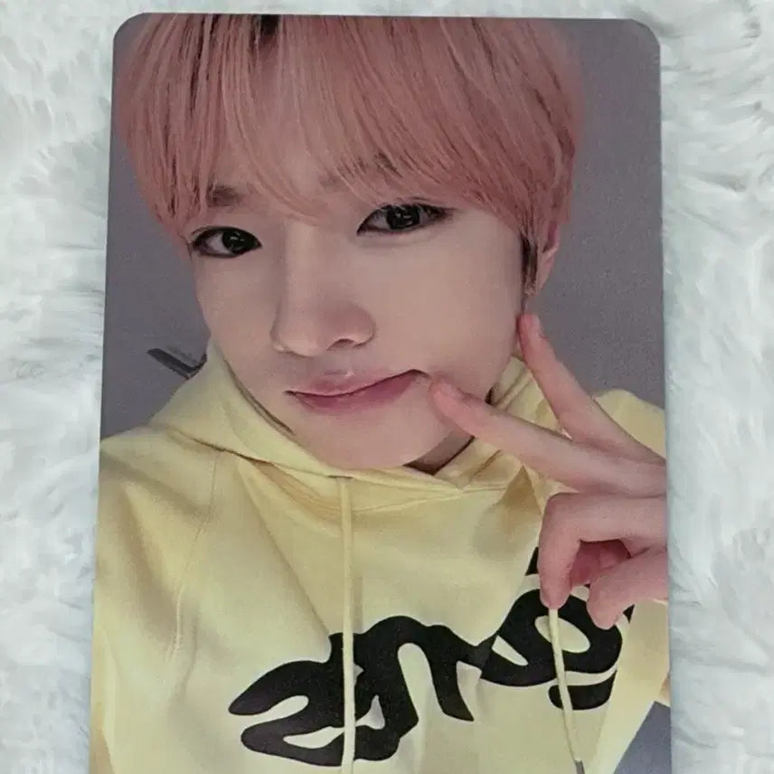 엔시티위시 nct wish 컬러 color 디마뮤 미공포 사쿠야 포카