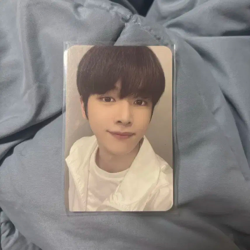 라이즈 성찬 포토카드