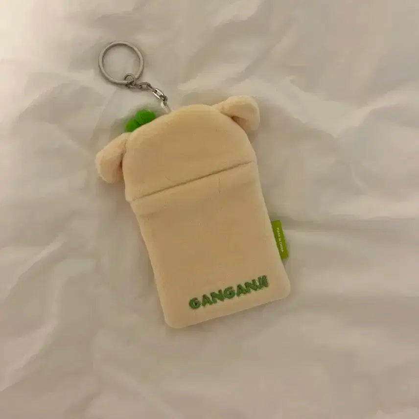 아이브 강안지 포카 홀더