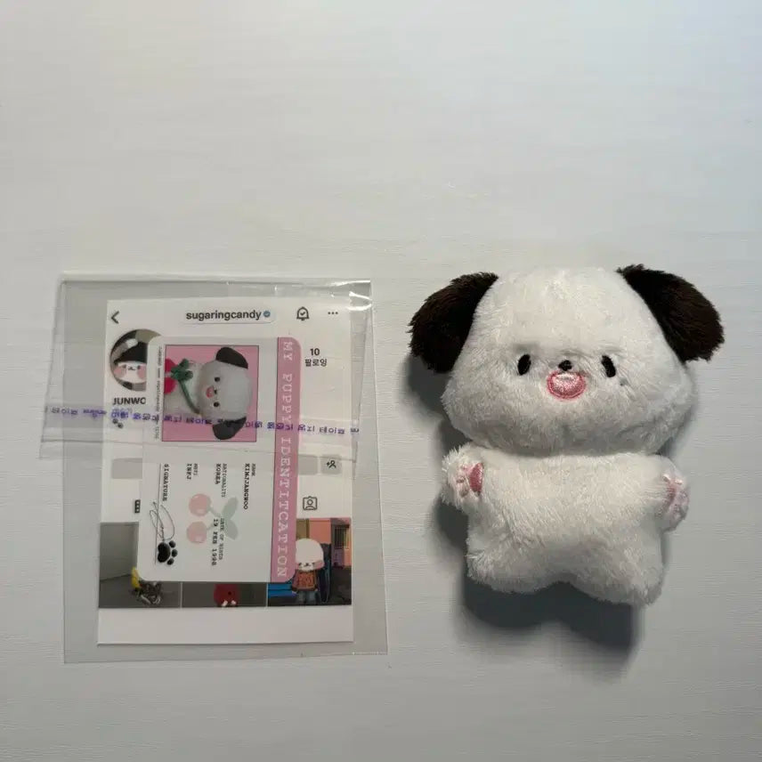 nct127 정우 짱우 인형