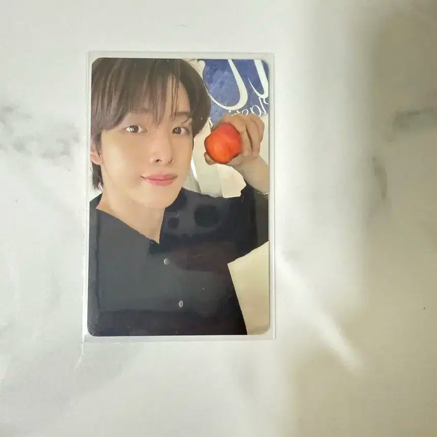 라이즈 성찬 디아이콘 포토카드