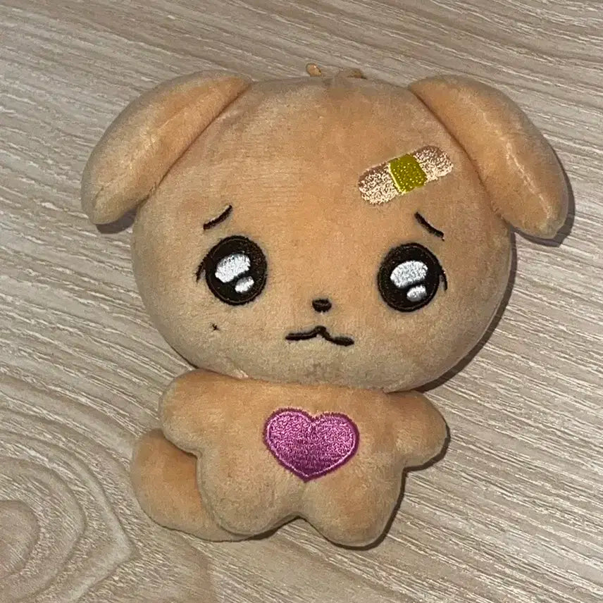 위시 재희 김푸댕