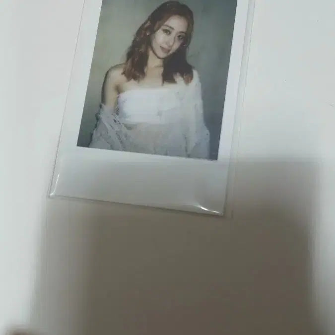 르세라핌 이지 윤진 폴라 판매