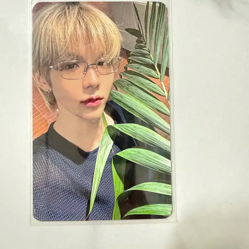 라이즈 쇼타로 포토카드 오디세이 유플러스