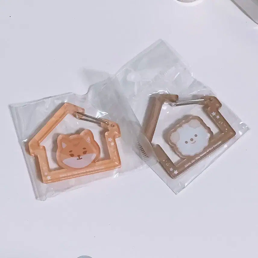 데이식스 케 돈 카라비너 (일괄/새상품)