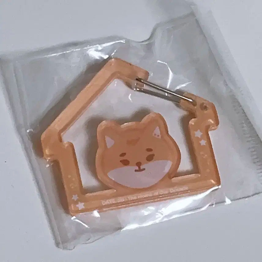 데이식스 케 돈 카라비너 (일괄/새상품)