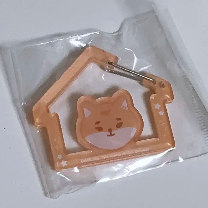 데이식스 케 돈 카라비너 (일괄/새상품)