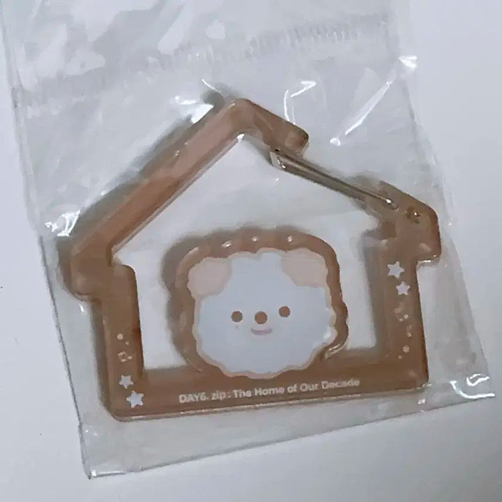 데이식스 케 돈 카라비너 (일괄/새상품)