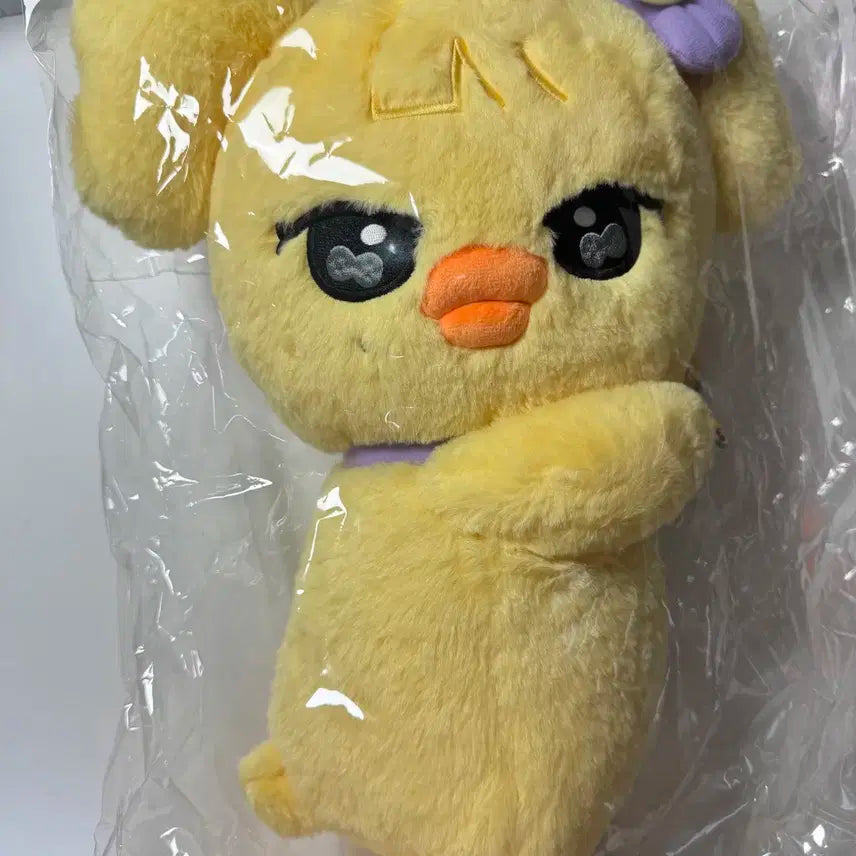 아이브 미니브 팝업 허그인형 나오리 레이 양도