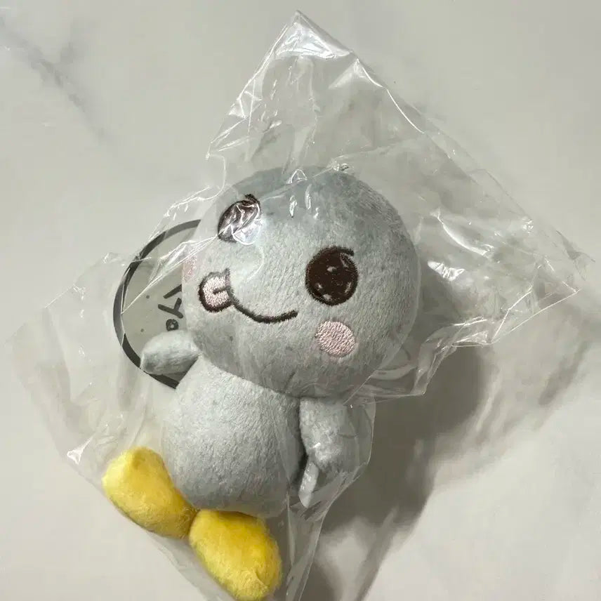 라이즈 은석 송용돌이1기 미개봉