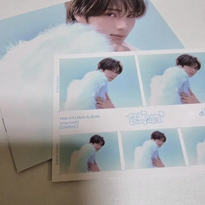투어스 play hard 컴팩트 앨범