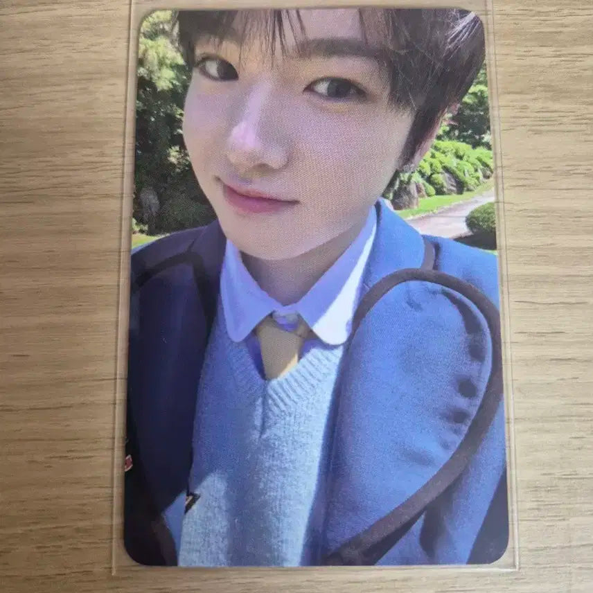 엔시티위시 송버드 케타포 사쿠야 포카