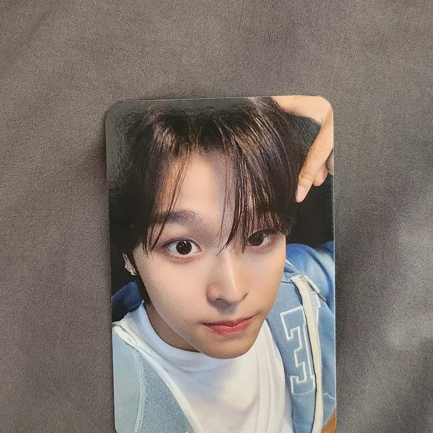 엔시티위시 리쿠 포카 로그인