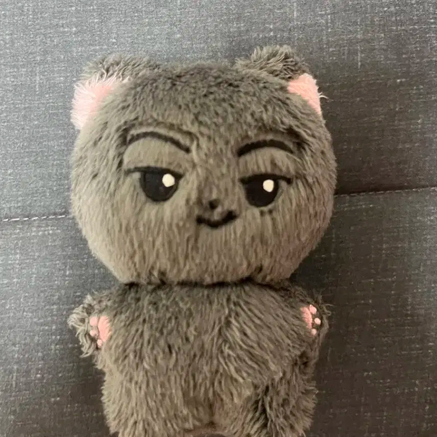 엔하이픈 제이 박종성 jay 인형 미국낭 양도