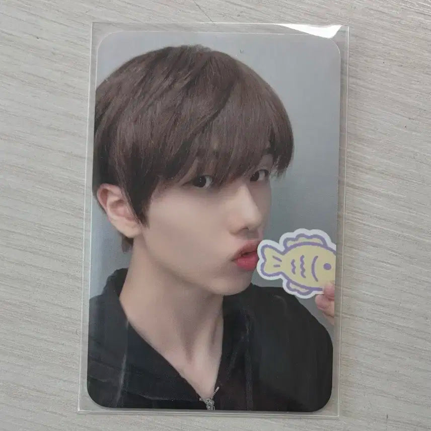 엔시티 지성 산리오 포카홀더+포카