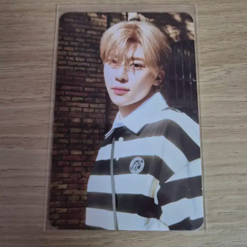 엔시티위시 위시스테이션 트레카 시온 포카