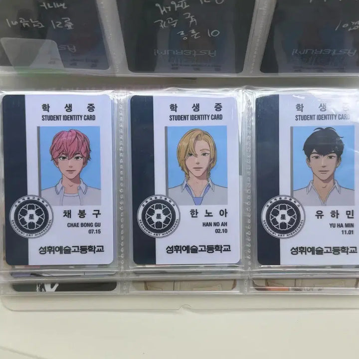 플레이브 육여름 포카 판매