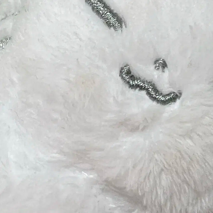 세븐틴 호찌인형 양도