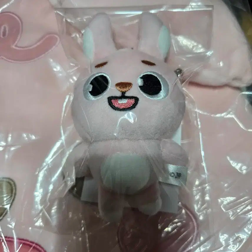 데이식스 DAY6 포에버영 요코하마 MD 필끼 PIL 백참