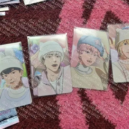 플레이브 포카앨범 뿌 케타포 드볼 원가양도