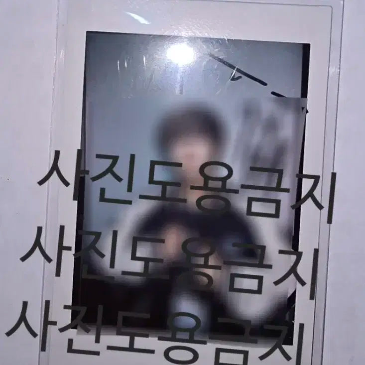 원위 기욱 싸폴 싸인폴라 싸인폴라로이드