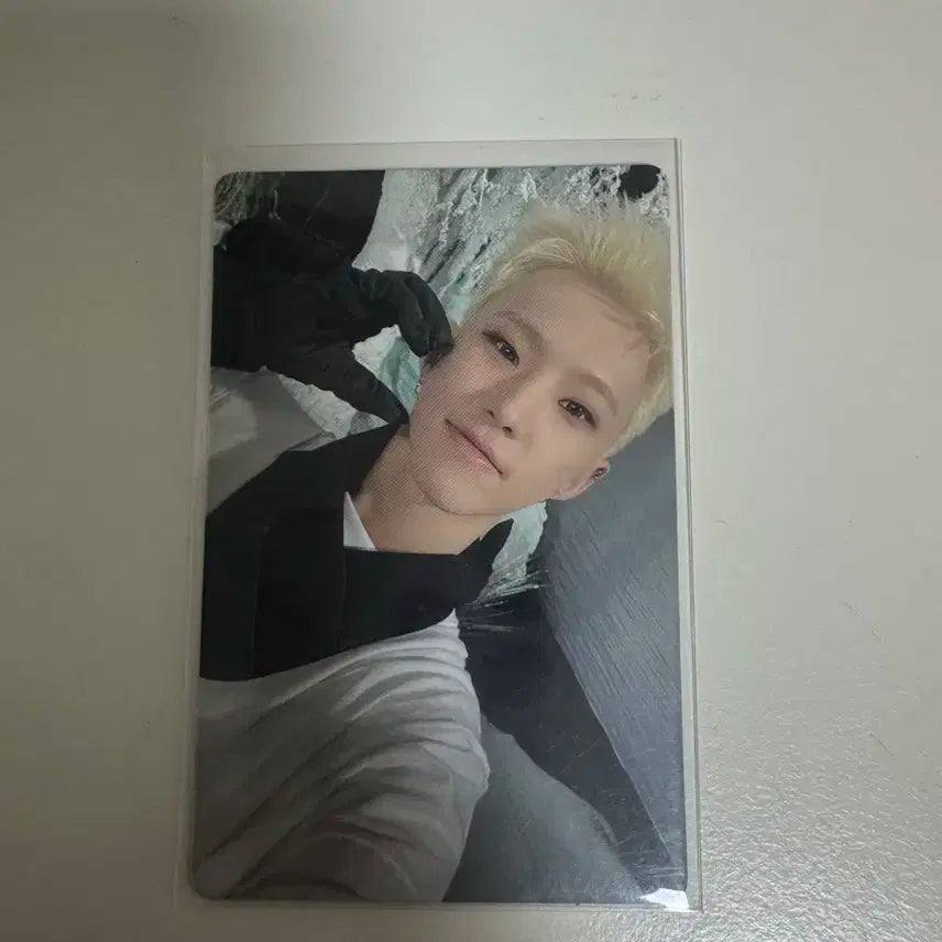 세븐틴 호시 섹터 포카