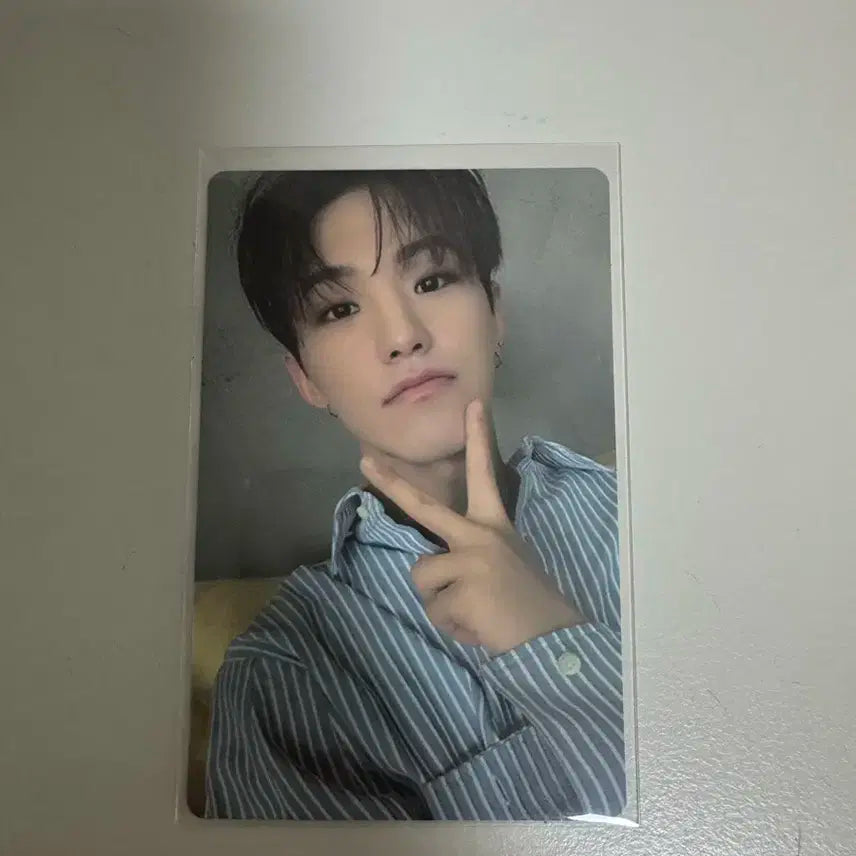 세븐틴 호시 언오드 포카