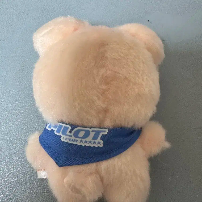 스트레이키즈 스키즈 스키주 퍼핌 인형 10cm 양도