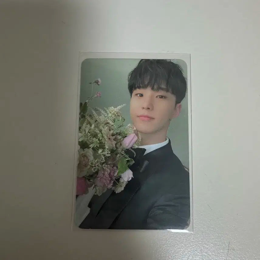 세븐틴 호시 캐럿반 포카