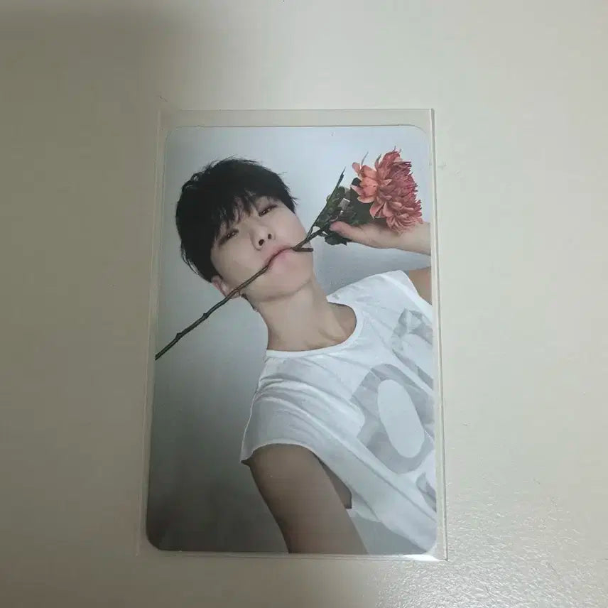 세븐틴 호시 캐럿반 포카