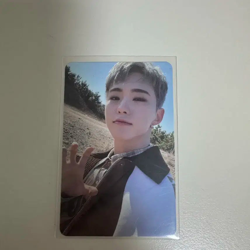 세븐틴 호시 페더썬 포카