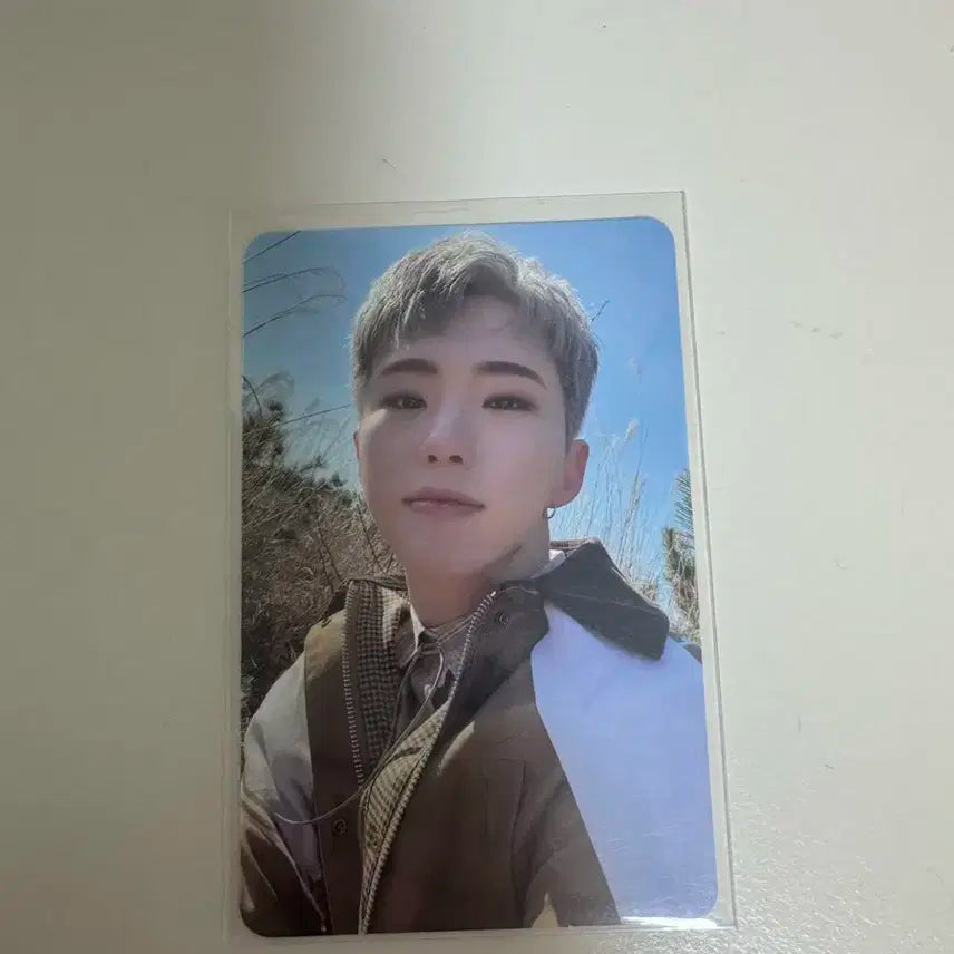 세븐틴 호시 페더썬 포카