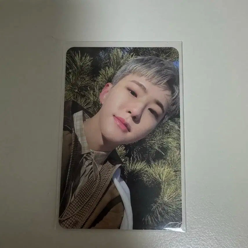 세븐틴 호시 페더썬 포카