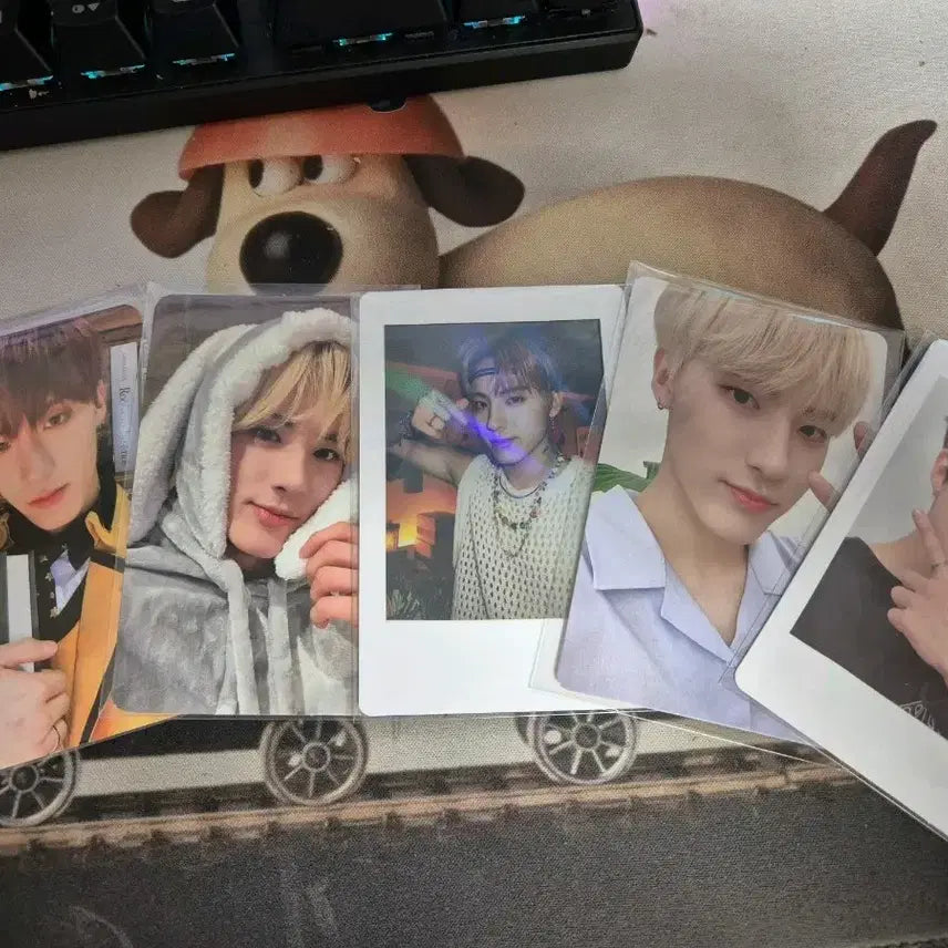 더보이즈 포카 판매