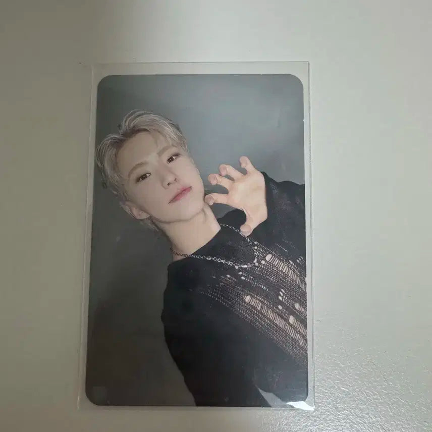 세븐틴 호시 포카