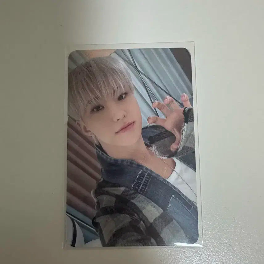 세븐틴 호시 메모리북 포카