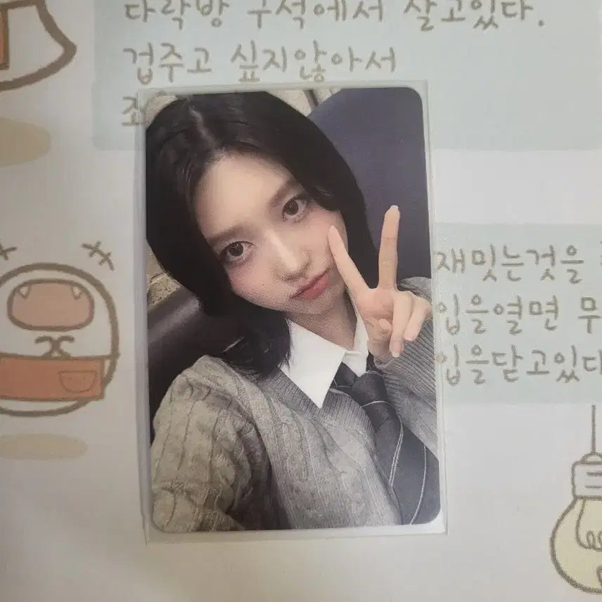 아이브 가을 사웨 럭드