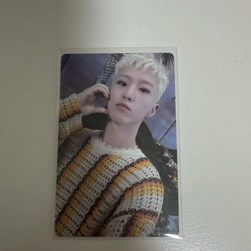 세븐틴 호시 포카