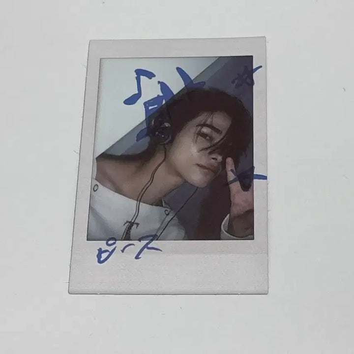 니키 daydream japan 폴라로이드