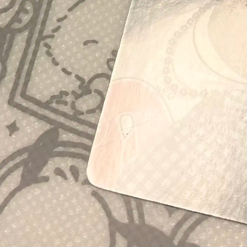 보이즈플래닛2 상하이 팝업 전시회 1주차 최립우 5번 포카