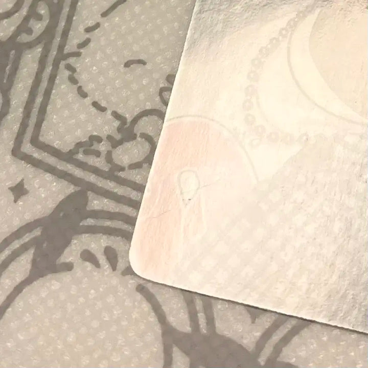 보이즈플래닛2 상하이 팝업 전시회 1주차 최립우 5번 포카