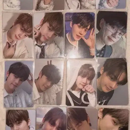 반택포)제베원 김규빈 포카 일괄 급처합니다