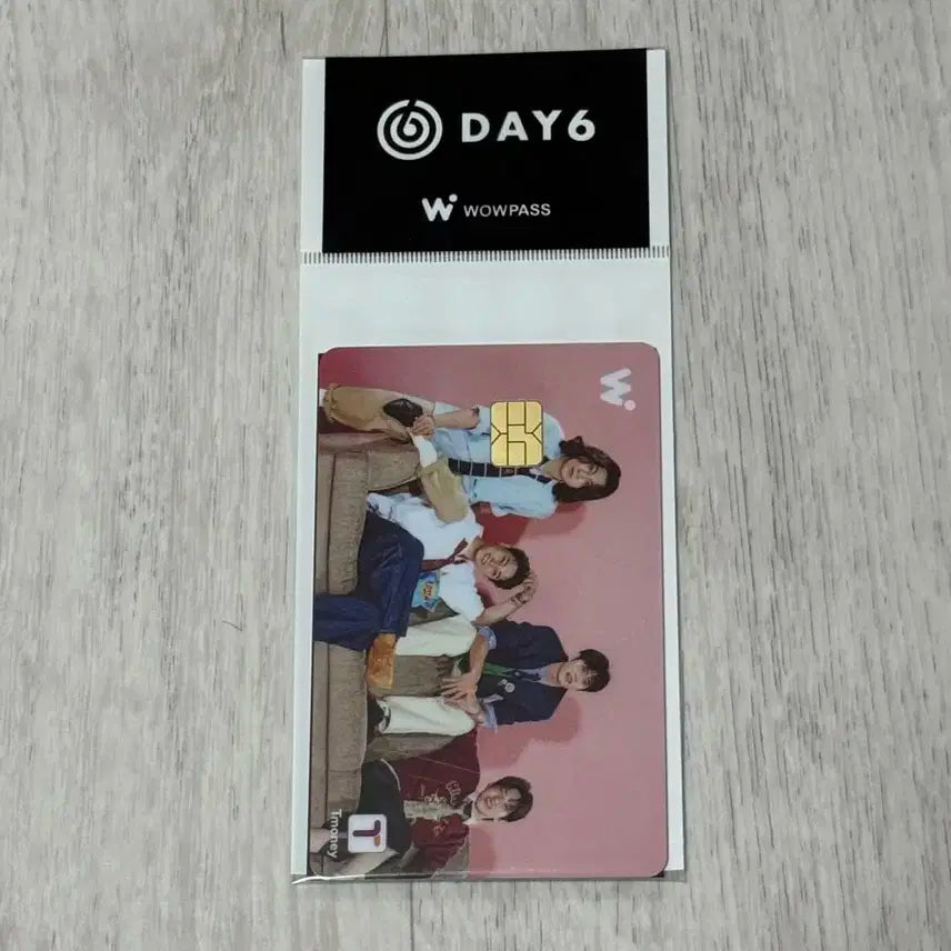 데이식스 와우패스 티머니 교통카드 단체