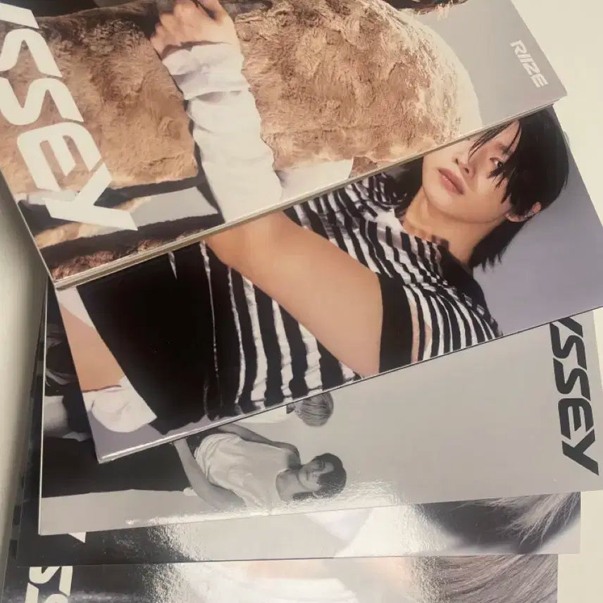 오디세이 앨범 양도