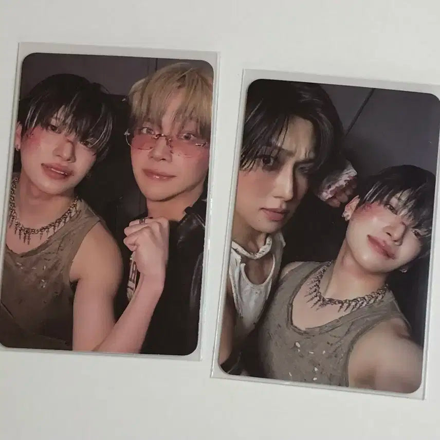 앤팀 백투라이프 위버스 앨포 앨범 유닛 포카 유마 니콜라스 후마 일괄