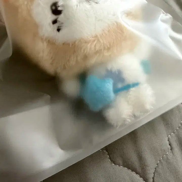 엔시티위시 유우시 버블냥 미개봉