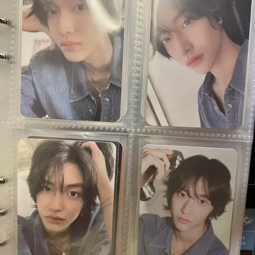 라이즈 원빈 포카 일괄 시즌 그리팅 2024 시그